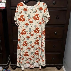 Gorgeous fall colored Carly dress! Worn once